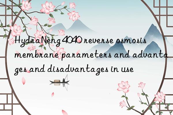 HydraNeng 4040 reverse osmosis membrane parameters and advantages and disadvantages in use