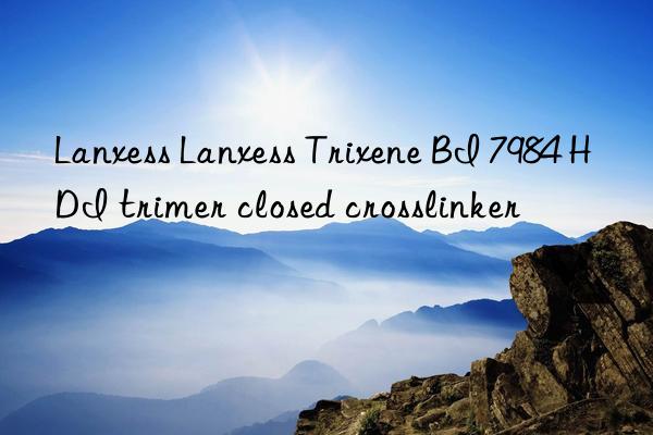 Lanxess Lanxess Trixene BI 7984 HDI trimer closed crosslinker