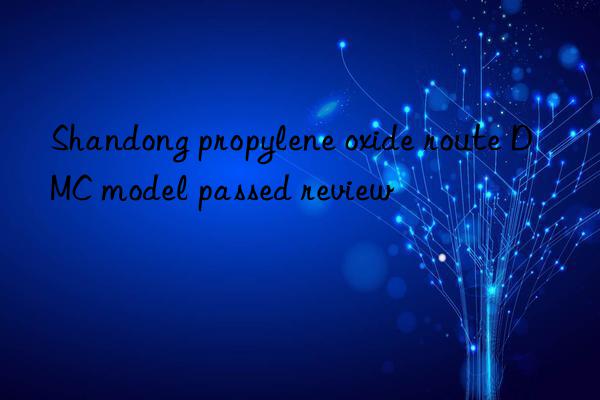 Shandong propylene oxide route DMC model passed review