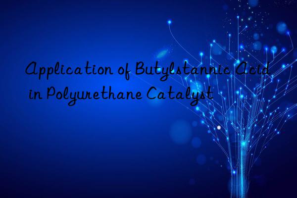 Application of Butylstannic Acid in Polyurethane Catalyst