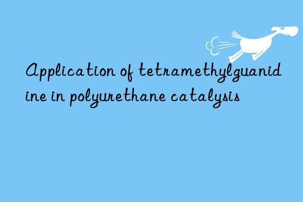 Application of tetramethylguanidine in polyurethane catalysis