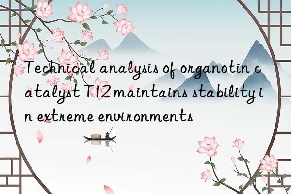 Technical analysis of organotin catalyst T12 maintains stability in extreme environments