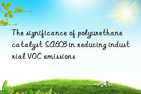 The significance of polyurethane catalyst SA603 in reducing industrial VOC emissions