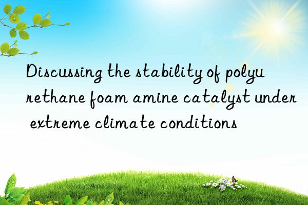 Discussing the stability of polyurethane foam amine catalyst under extreme climate conditions