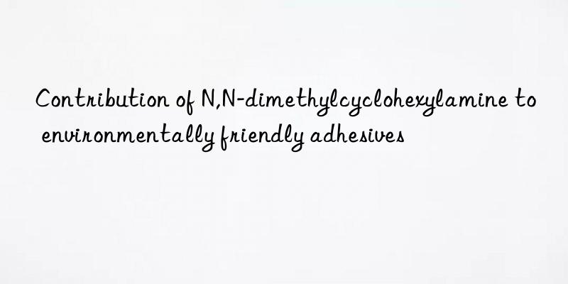 Contribution of N,N-dimethylcyclohexylamine to environmentally friendly adhesives