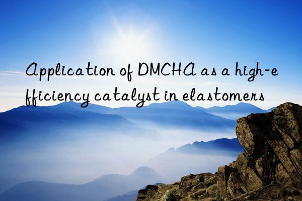 Application of DMCHA as a high-efficiency catalyst in elastomers