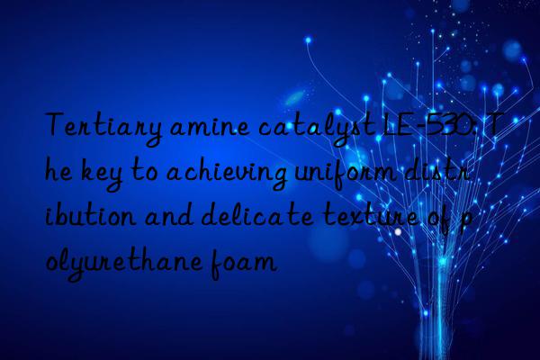 Tertiary amine catalyst LE-530: The key to achieving uniform distribution and delicate texture of polyurethane foam