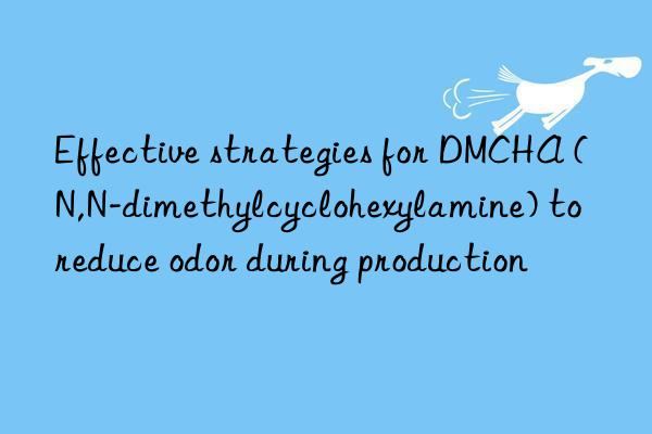 Effective strategies for DMCHA (N,N-dimethylcyclohexylamine) to reduce odor during production