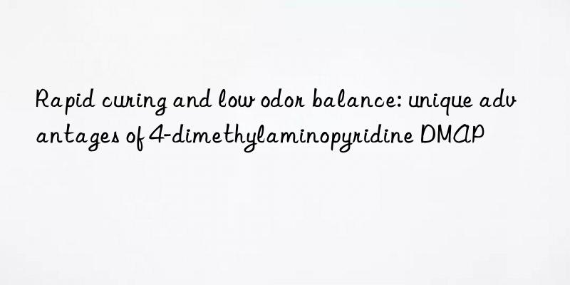 Rapid curing and low odor balance: unique advantages of 4-dimethylaminopyridine DMAP