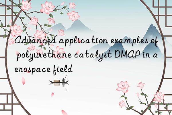 Advanced application examples of polyurethane catalyst DMAP in aerospace field