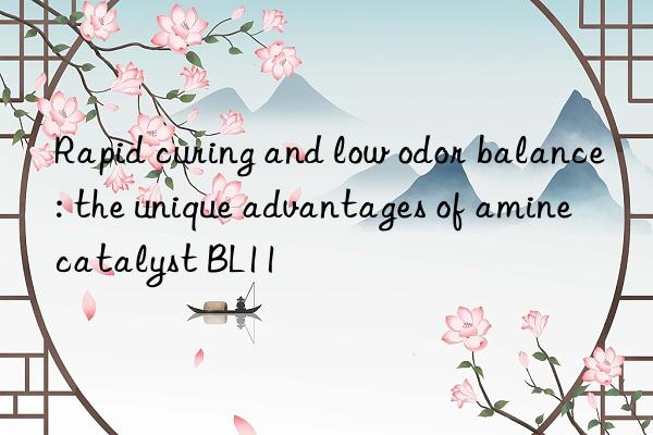 Rapid curing and low odor balance: the unique advantages of amine catalyst BL11