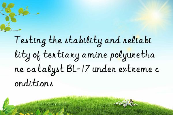 Testing the stability and reliability of tertiary amine polyurethane catalyst BL-17 under extreme conditions