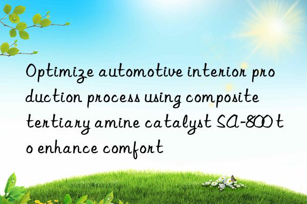 Optimize automotive interior production process using composite tertiary amine catalyst SA-800 to enhance comfort