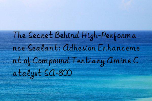 The Secret Behind High-Performance Sealant: Adhesion Enhancement of Compound Tertiary Amine Catalyst SA-800