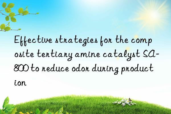 Effective strategies for the composite tertiary amine catalyst SA-800 to reduce odor during production