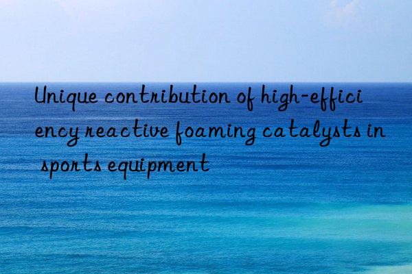 Unique contribution of high-efficiency reactive foaming catalysts in sports equipment