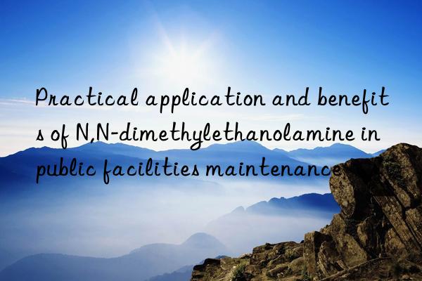 Practical application and benefits of N,N-dimethylethanolamine in public facilities maintenance