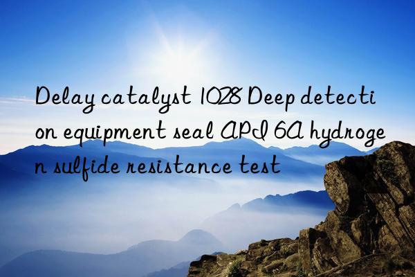 Delay catalyst 1028 Deep detection equipment seal API 6A hydrogen sulfide resistance test