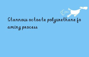 Stannous octoate polyurethane foaming process