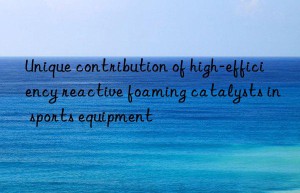 Unique contribution of high-efficiency reactive foaming catalysts in sports equipment