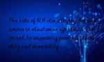 The role of N,N-dimethylcyclohexylamine in elastomer synthesis: The secret to improving product flexibility and durability