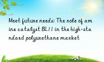 Meet future needs: The role of amine catalyst BL11 in the high-standard polyurethane market