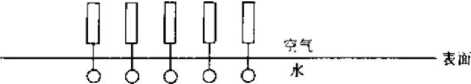 Surface orientation of surfactants