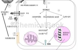 Emulsification of surfactants