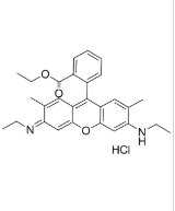 Rhodamine 6G