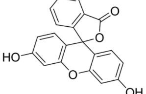 fluorescein