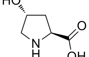 trans-4-hydroxy-L-proline