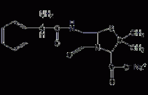 Ampicillin sodium structural formula