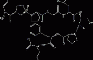 Bradykinin structural formula