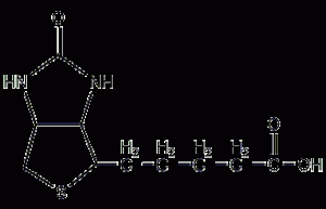 D-(+)-biotin structural formula