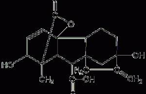 Gibberellic acid structural formula