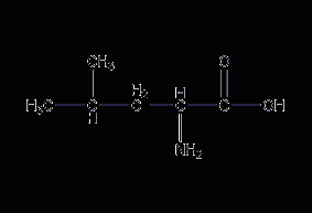 DL-leucine structural formula