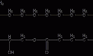 Glyceryl monopalmitate structural formula