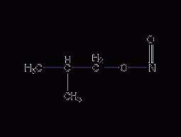 Isobutyl nitrite structural formula