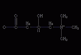 L-carnitine structural formula