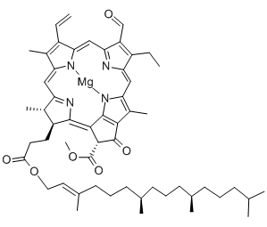 Chlorophyll b structural formula