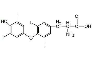 L-thyroxine structural formula