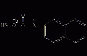 Structural formula of mercaptoacetonaphthamide